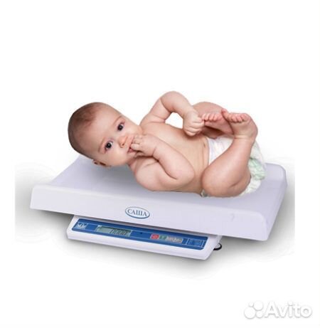 Весы прокат