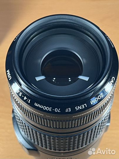 Canon EF 70-300 4-5.6 IS USM