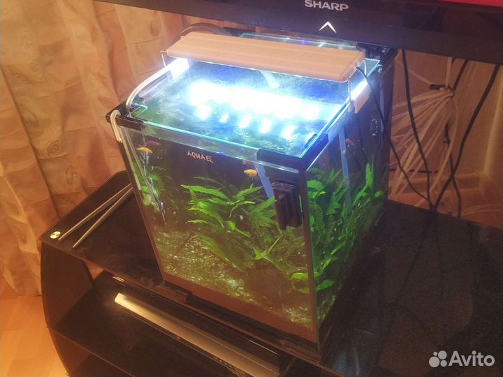 Аквариум