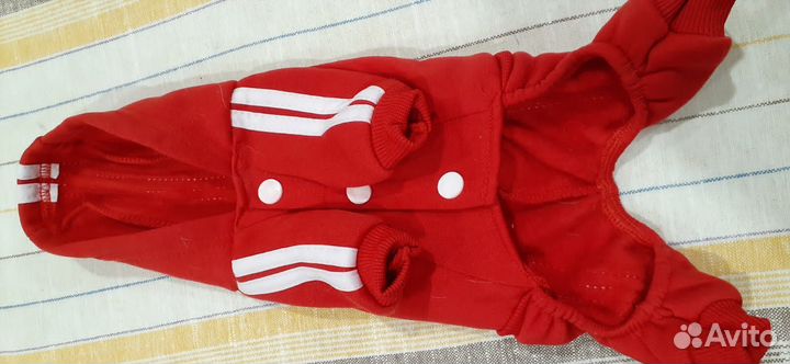 Костюм для собаки