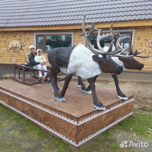 В Саамскую деревню