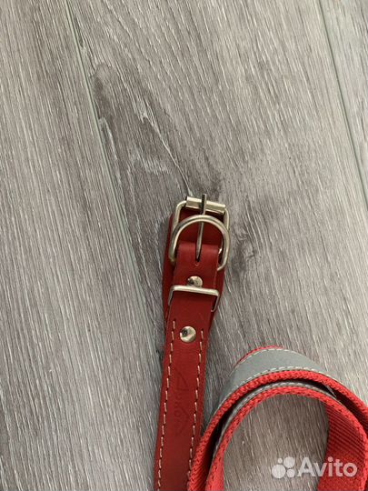 Ошейник и поводок