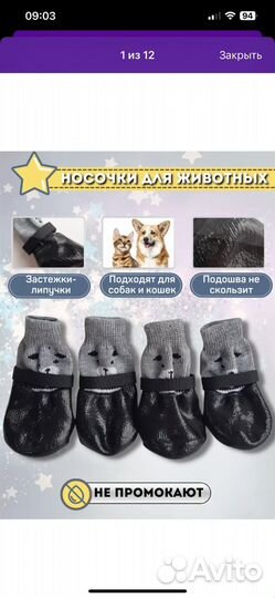 Обувь для маленьких собак