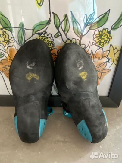 Скальные туфли Scarpa Instinct S Black/Azure 35 EU