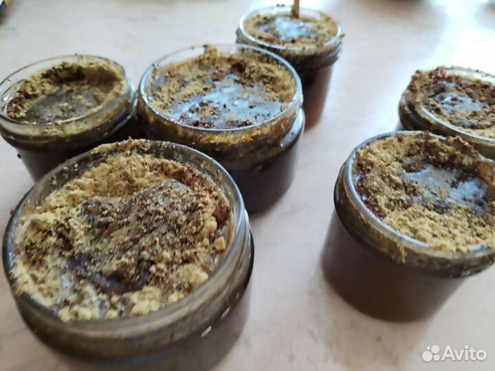 Мед с травами от паразитов в организме