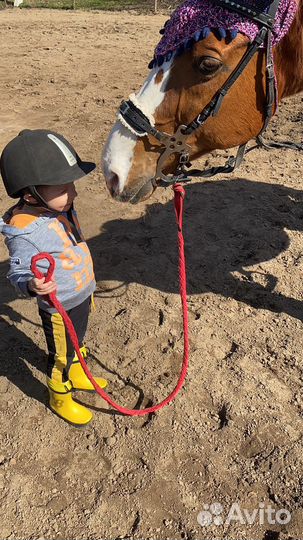 Верховая езда