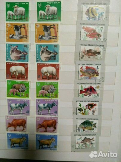 Марки (1) флора и фауна