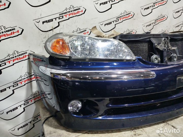 Nosecut nissan cefiro A33 PA33 1 модель F20222Y0MF синий, BW9 S3707