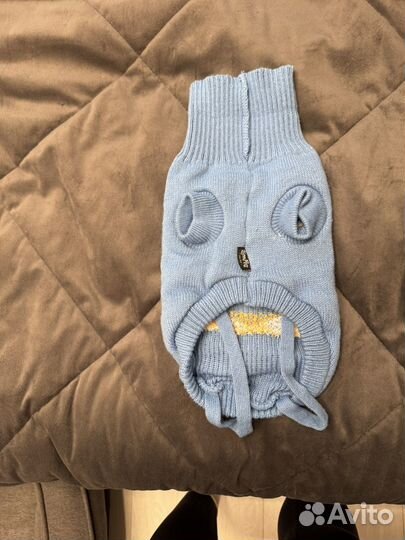 Одежда для собак мелких пород