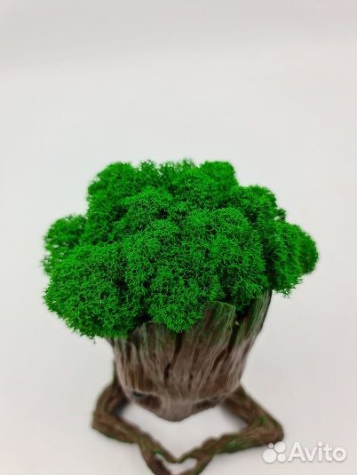 Герой грут из мстителей В кашпо С мхом для цветов