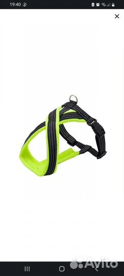 Шлейка для собак