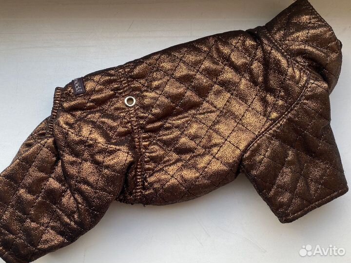 Осенний комбинезон на маленькую собачку