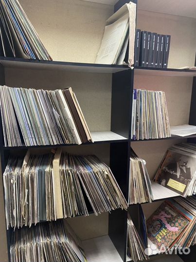 Виниловые пластинки