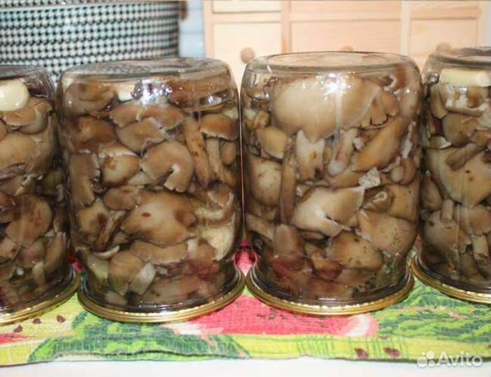Соленые грибы