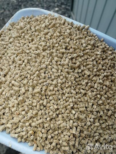 Старт. Рост. Финишь