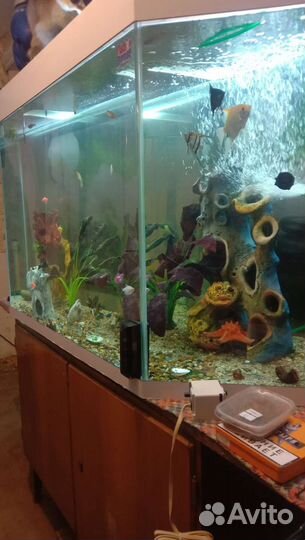 Аквариум