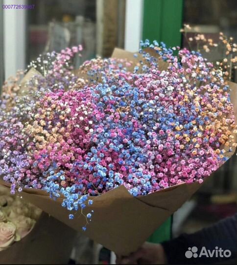 Букет из 25 веток разноцветной гипсофилы (Арт.52423)