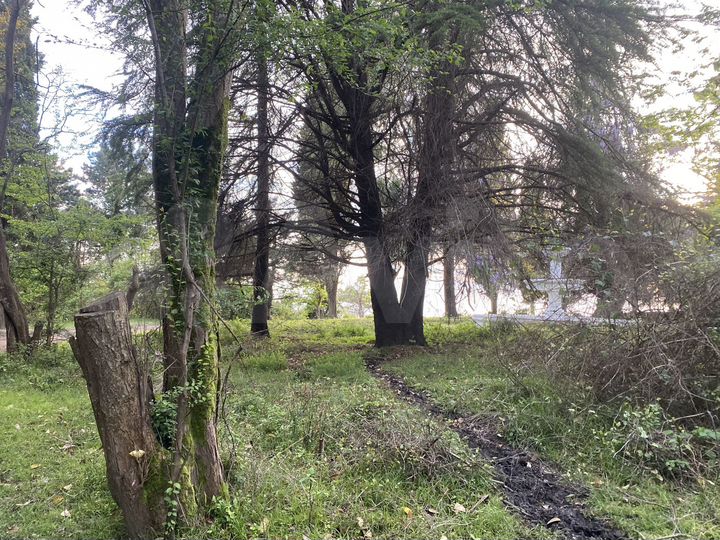 1-к. квартира, 30 м², 4/5 эт.