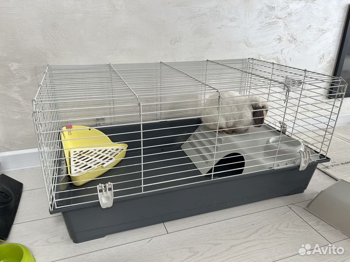 Клетка rabbit 100 new ferplast