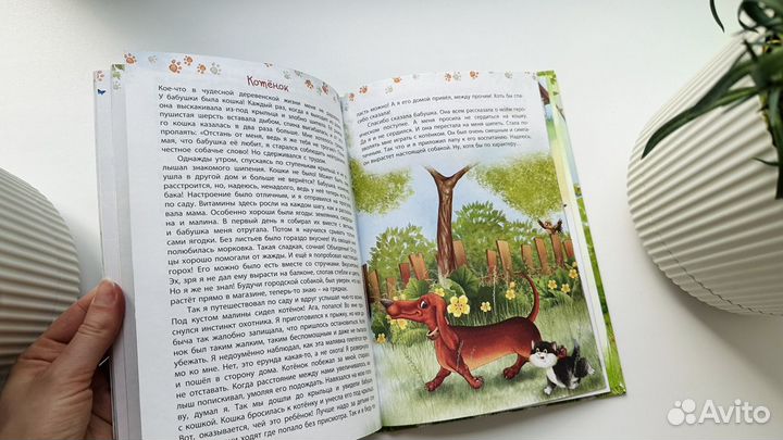 Книга про собаку для детей