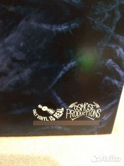 Винил Decrepit Birth