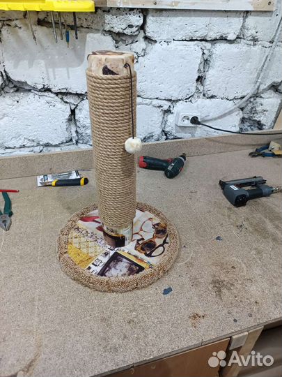 Ремонт когтеточек в Красноярске