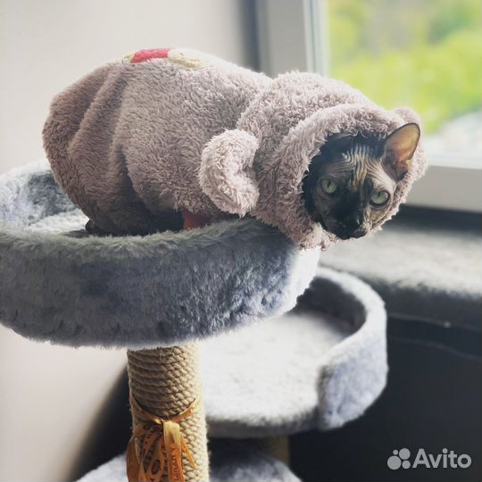 Жилетка меховая для собаки