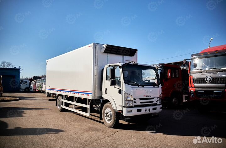 Рефрижератор Isuzu Elf, 2024