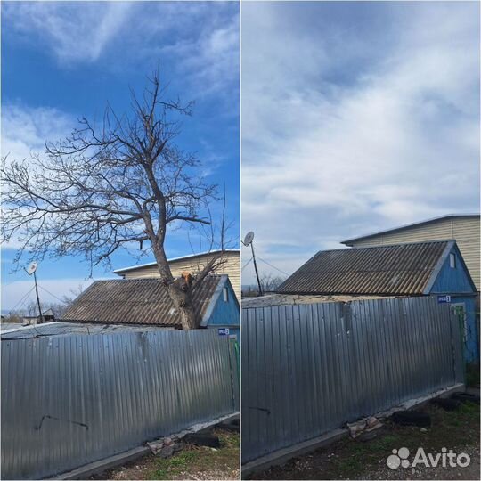 Спил деревьев,кронирование