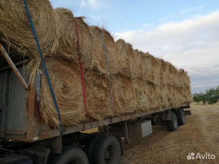 Сено в рулонах с доставкой