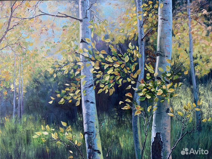 Картина маслом пейзаж Березы