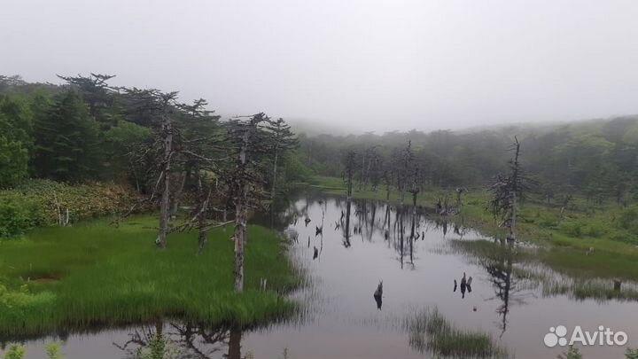 Экскурсия по острову Итуруп