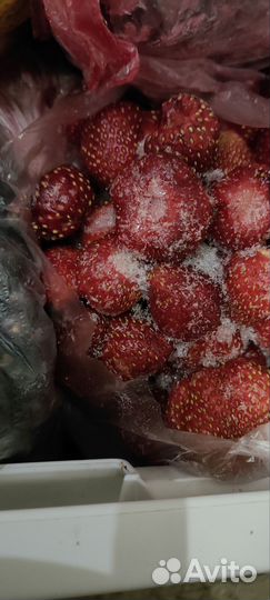 Компот,морс домашний