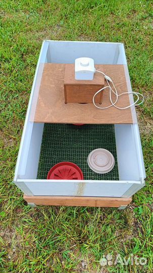 Брудер для цыплят