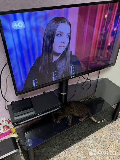 Тумба под телевизор с кронштейном