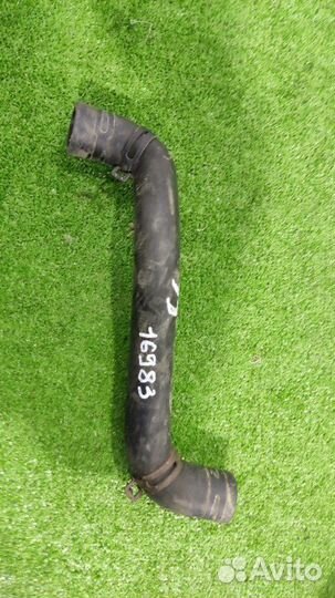 Патрубок Renault Scenic 2 хэтчбэк 1.6 K4M813 2008