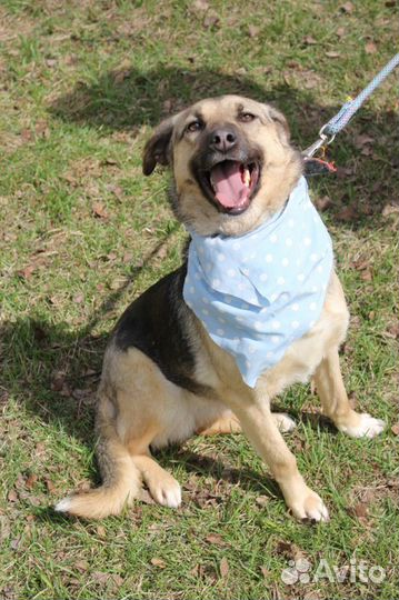 Добрая Октавия вечно мерзнет в приютеспасите