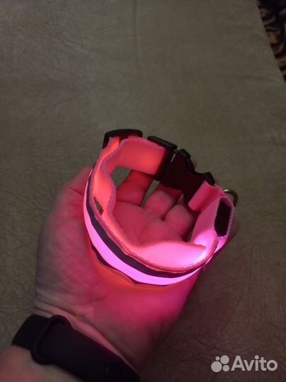 Ошейник светящийся для средней собаки