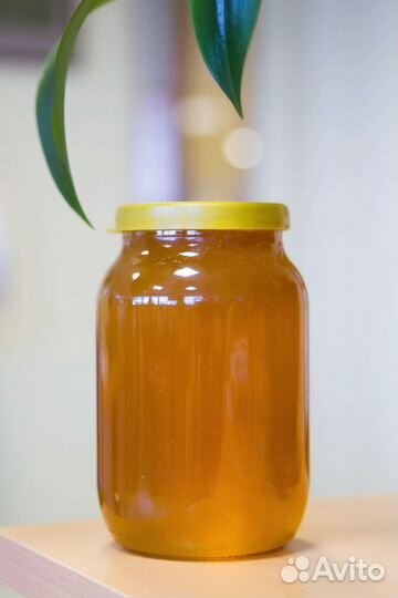 Мед пчелиный