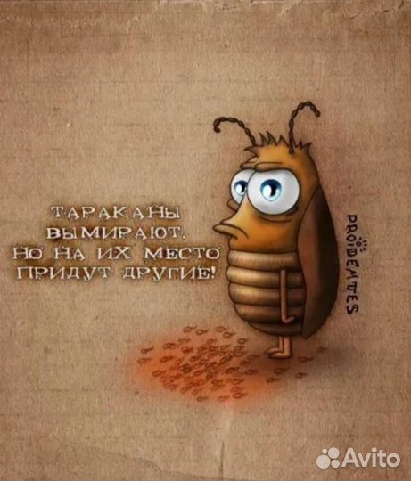 Инсектицид
