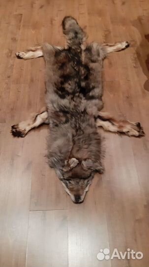 Шкура волка