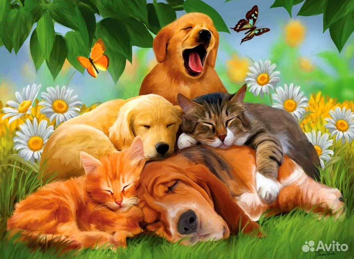 Ветеринарный зообизнесс