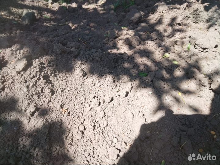 Чернозем черный Навоз готовый,ЗИЛ,газель,камаз 15т