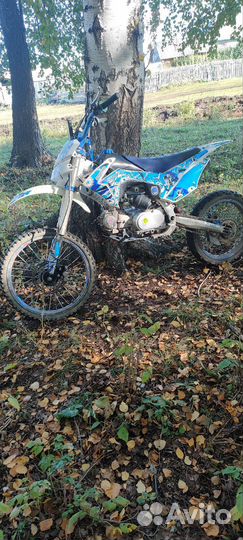 Motoland crf 125 19/16