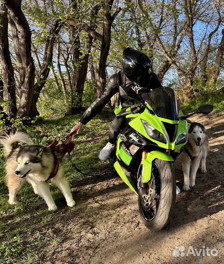 Аккумуляторexide AGM 12V 18Ah (etx20hl-BS)