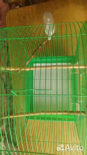 Клетка для среднего попугая