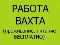 Упаковщик на склад,проживание, питание