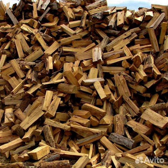 Дрова Береза