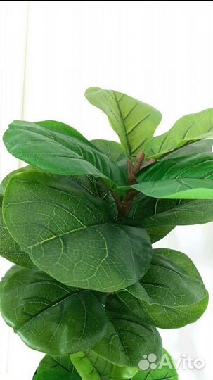Искусственное дерево растение фикус