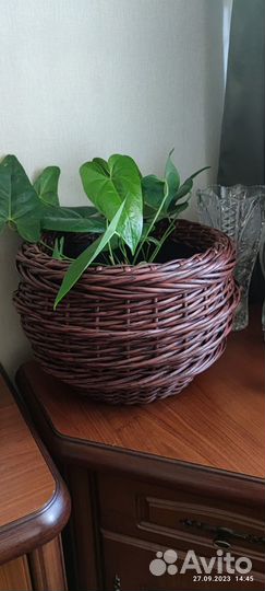 Кашпо для сада и дома